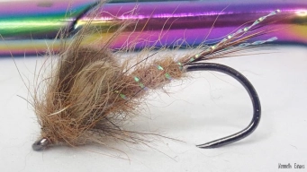 Vulgata emerger Vulgata emerger