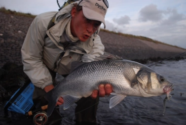 Impressed with its power Impressed with its power