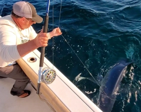 Nick leadered Nick leadered