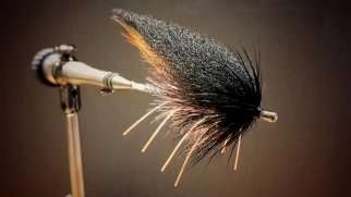 Front view Front view