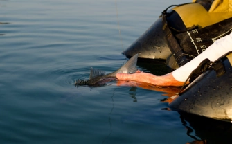 Slippin' and slidin' Slippin' and slidin'