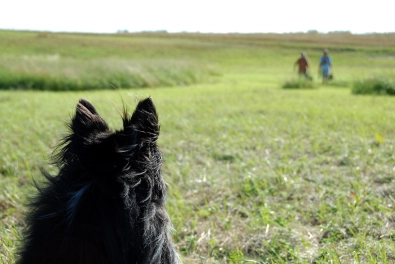 Keen eyes and ears Keen eyes and ears