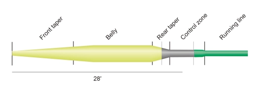 Guideline Presentation Guideline Presentation