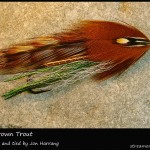 #53 Baby Brown Trout - Jon Harrang #53 Baby Brown Trout - Jon Harrang