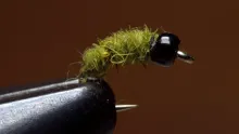Video thumb for Micro Caddis Larva