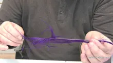 Video thumb for Preparing Rhea Feathers for Tying Steelhead Flies