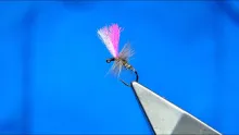 Video thumb for Jig Head Indicator Fly