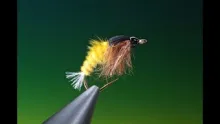 Video thumb for Caddis Pupa