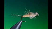 Video thumb for Floating Mayfly Nymph