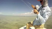 Video thumb for Fishy Fly Fishing : One Hook Up
