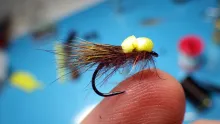 Video thumb for Chocolate Brown Balloon Caddis