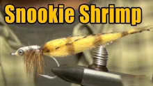 Video thumb for Snookie Shrimp