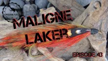 Video thumb for Maligne Laker Streamer