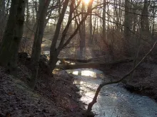 User submitted picture: Upstrem view of a small r...