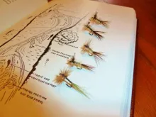 User submitted picture: some winged dryflies in s...