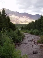 User submitted picture: Avalanche National Park