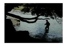 User submitted picture: up stream...