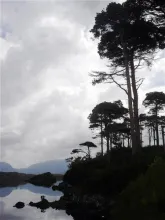 User submitted picture: Landscape Connemara by Pa...