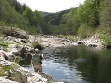 User submitted picture: Early season fighting by ...