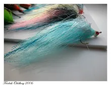 User submitted picture: A 2/0 pikefly tied from a...