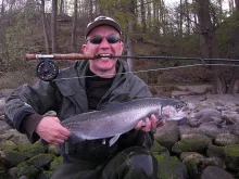 User submitted picture: Steelhead 62cm/2,5kg
