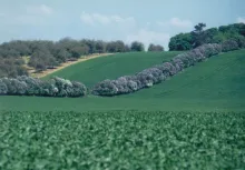 User submitted picture: denmark in spring