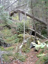 User submitted picture: No easy way in