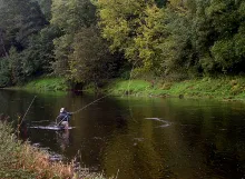 User submitted picture: Salmon fishing on Tweed