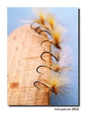 User submitted picture: The para session in my fl...