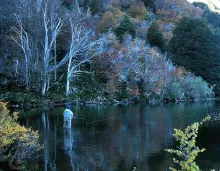 User submitted picture: Waiting for the rise to h...