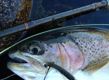User submitted picture: Rainbow & Black Clouser M...