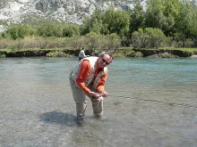 User submitted picture: It's not big, but fight ...