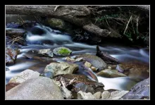 User submitted picture: Arroyo Catritre, San Mart...