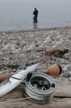 User submitted picture: Spring on the Danish coas...