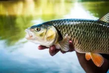 User submitted picture: Eye to eye