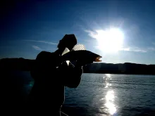 User submitted picture: A Colorado Walleye