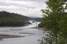 User submitted picture: Real miracle