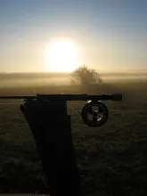 User submitted picture: The beginning of one of m...