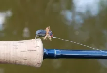 User submitted picture: Poly bug