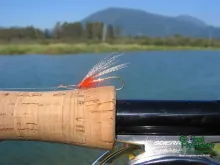 Computer screen wallpaper: Egg and Eye