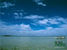 Computer screen wallpaper: Taking a break on the Mexican flats.