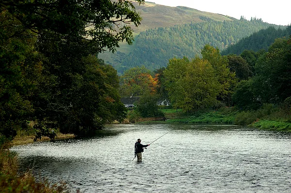 User submitted picture: Salmon fishing