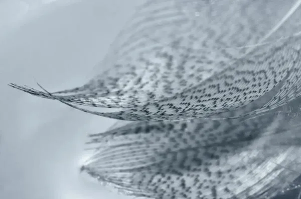 User submitted picture: Stillness