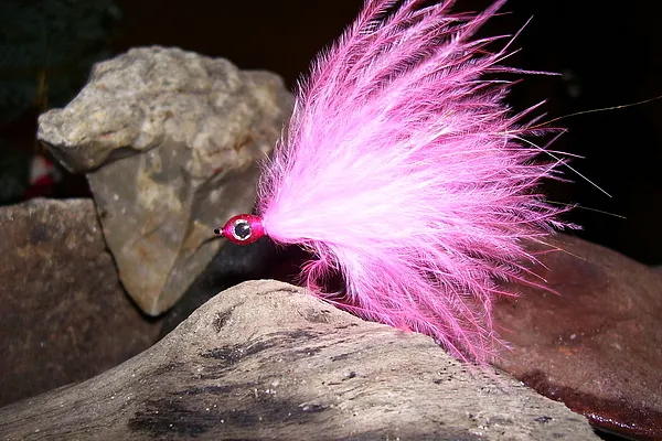 User submitted picture: Winter Seatrout Hunter