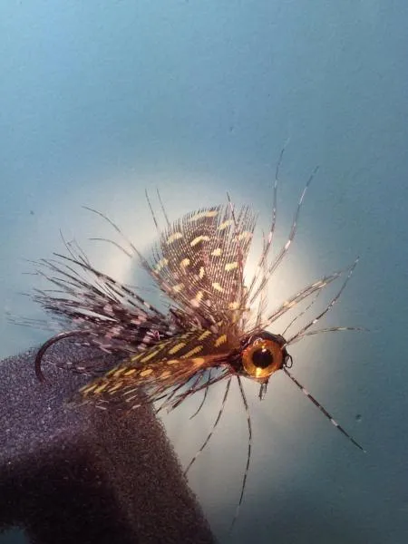 User submitted picture: This is tube fly built on...