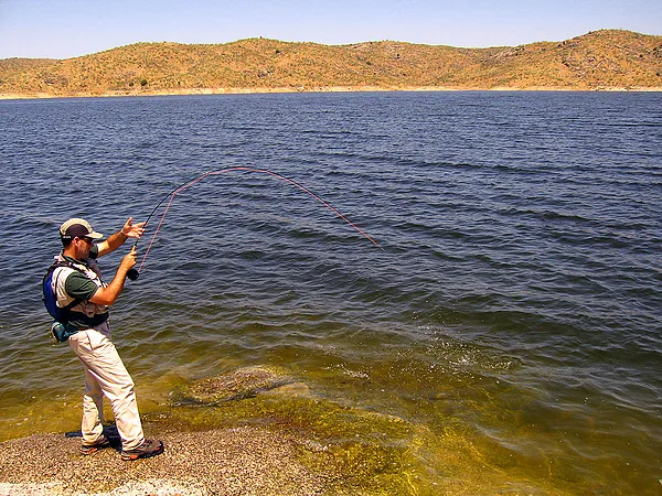 User submitted picture: Hard fight with a common ...