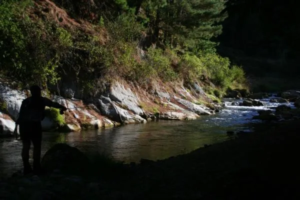 User submitted picture: Lurking in the shadows.