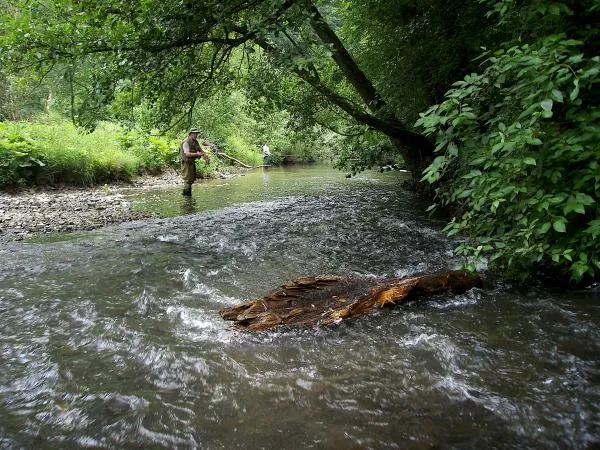 User submitted picture: the noble art of fine cas...