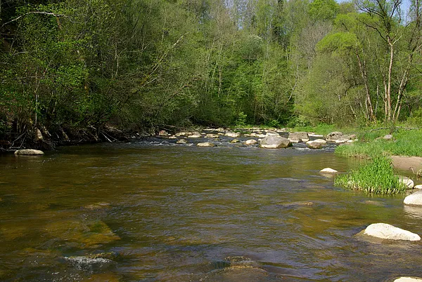 User submitted picture: "Great shoal" in Akmena...