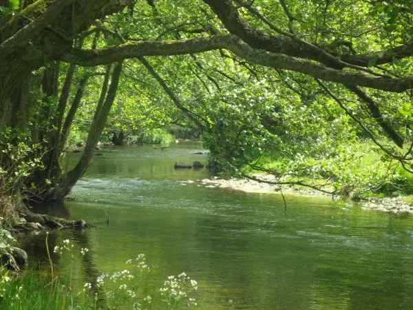 User submitted picture: Small stream from the sou...